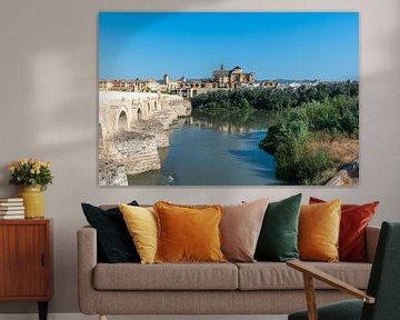 Roman bridge in Cordoba by Joke Van Eeghem