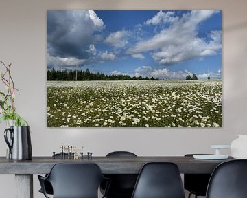 Een veld in bloei onder een zomerse hemel van Claude Laprise