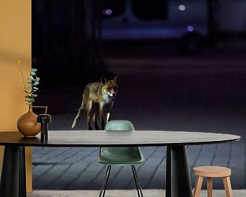 Vos in de nacht. van Danny Slijfer Natuurfotografie
