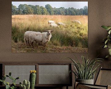 Sheep herding on the heath in the Barony of Breda by W J Kok