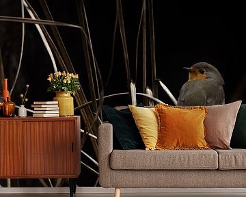 Roodborstje in een siergras