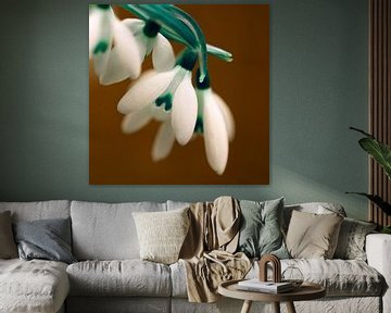 Creativiteit met fine art flowers van Jolanda de Jong-Jansen