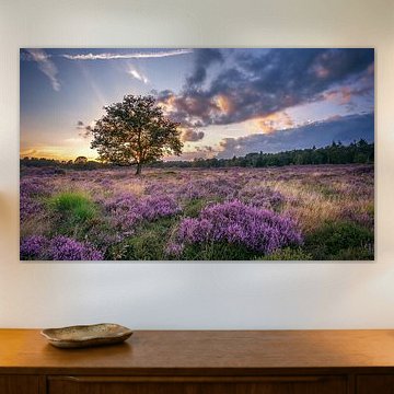 Blühende Heide von Martijn van Dellen