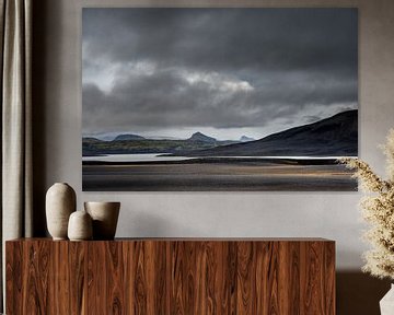 IJslandse ruigte van Danny Slijfer Natuurfotografie