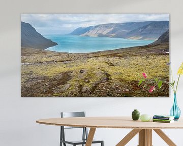 De IJslandse Westfjorden van Danny Slijfer Natuurfotografie