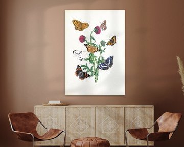 Nodding thistle with butterflies by Jasper de Ruiter