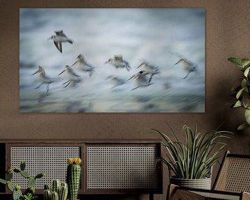 Drieteenstrandlopers op het strand van Dirk van Egmond