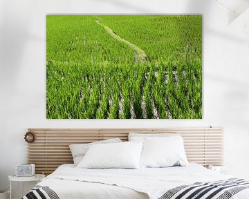 Levensweg in rijstvelden van Inge Hogenbijl