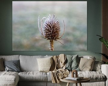 Thistle with Ripe in the freezing cold by Tjeerd Knier