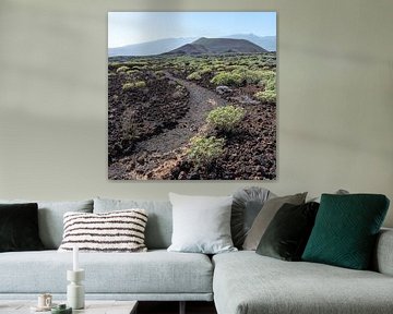 Walking trail in Malpaís de Güímar on Tenerife by Karin de Jonge