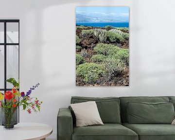 Cactussen in Malpaís de Güímar op Tenerife van Karin de Jonge