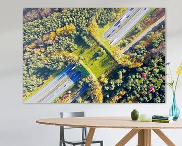 Wildlife Viadukt Woeste Hoeve im Herbst von Jeroen Kleiberg