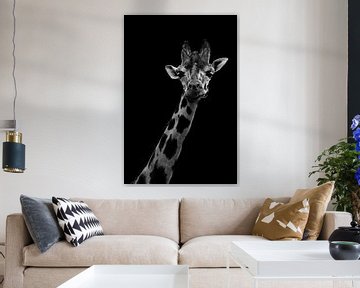 Giraf van Mirthe Vanherck