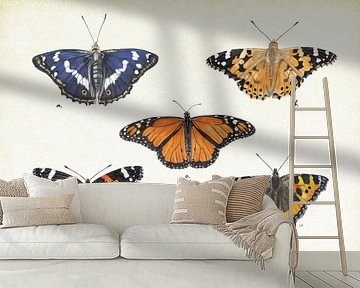 Tagaktive Schmetterlinge von Jasper de Ruiter