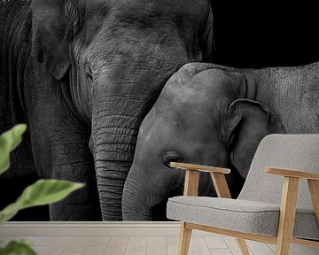 Elephant family by Mirthe Vanherck