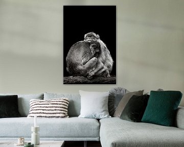 Cuddling Barbary macaques by Mirthe Vanherck