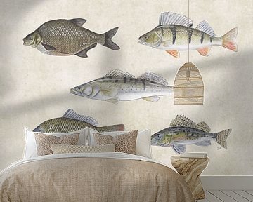 Collage van Zoetwatervissen  van Jasper de Ruiter