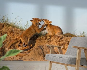 Speeltijd voor deze drie welpen! van Tim Link