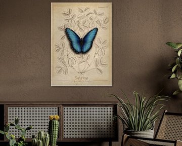 Dessin stylisé du papillon morpho bleu sur Marjolein Fortuin