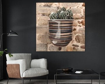 Cactus in striped pot on wall in Spain
