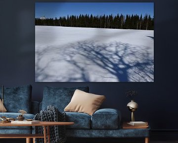 L'ombre d'un arbre sur la neige sur Claude Laprise
