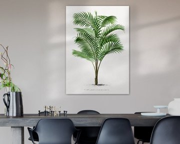 Palmplant | Calamus Asperrimus van Peter Balan
