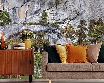 Rotsplateau met bomen in Yosemite National Park