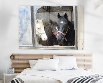 horses van Hubert van Gestel