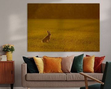Hare in the last light by Danny Slijfer Natuurfotografie