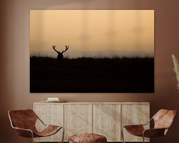 Red deer in sunset by Danny Slijfer Natuurfotografie