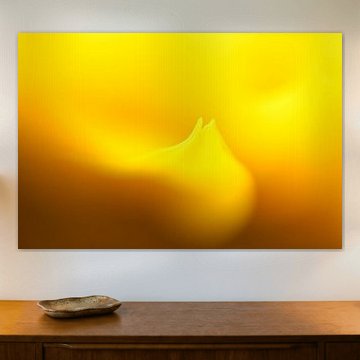 Zonnebloem Abstract Nummer 1