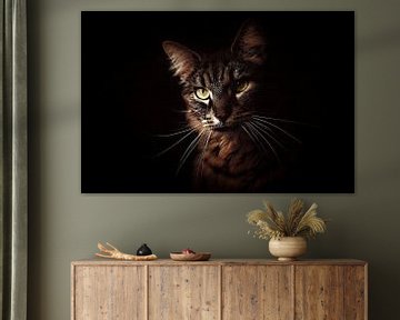 Porträt einer Katze alte Meister Malerei Stil von Maud De Vries