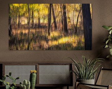 forêt d'ulvenhout en automne sur Peter Smeekens