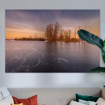 Natuurgebied Tusschenwater Hunzedal