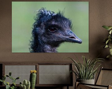 Portret van een struisvogel van MvdW Media / Manon van de Wiel