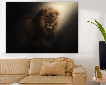 Light from a lion by Bert Hooijer