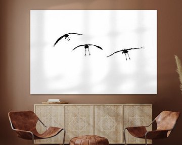 Landing cranes by Danny Slijfer Natuurfotografie