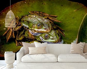 Frogs in duo seat. by Huub de Bresser