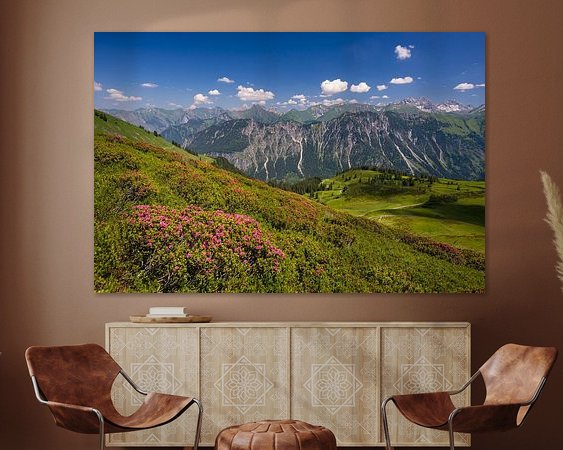 Aperçu de la chambre