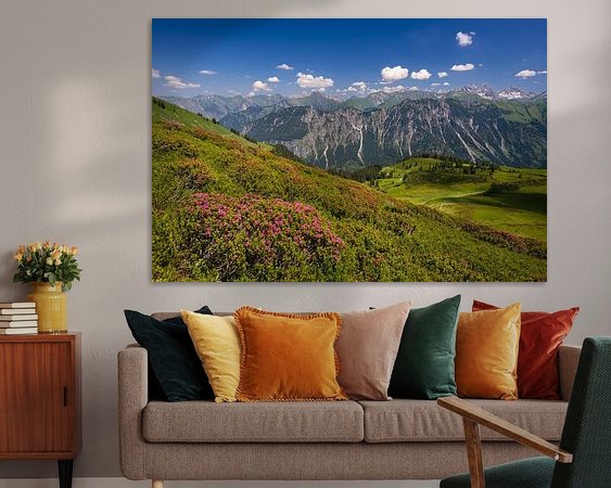 Aperçu de la chambre