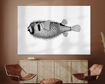 Retro tropical fish.  Vintage art. Black-blotched porcupinefish in black and white by Dina Dankers