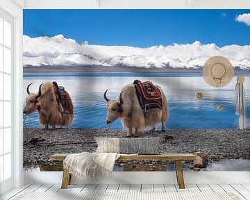 2 yaks in Tibet by Dennis Timmer