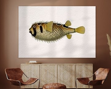 Retro tropische vissen.  Vintage kunst. Zwartgevlekt stekelvarken in geel van Dina Dankers