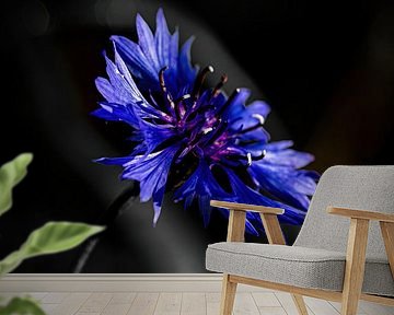 A flower by Pixel4ormer