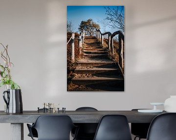 Stufen auf dem Wanderweg entlang der Teufelsmauer im Harz. von Katrin Friedl Fotografie