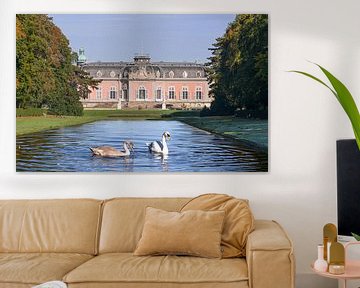 Benrath Palace, Düsseldorf, Germany by Alexander Ludwig