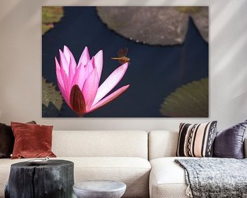 Waterlelie (waterlilly) by Loraine van der Sande