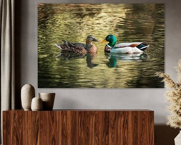 Schwimmende Enten im Teich von Raphotography