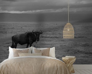 WILDEBEEST