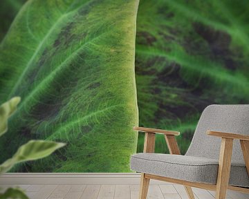 Botanisch groen tropisch blad art print - urban jungle natuur fotografie van Christa Stroo fotografie